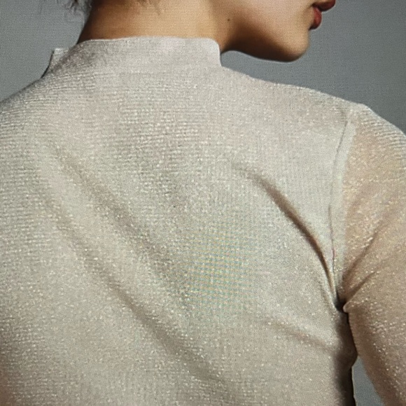 Anthropologie Lurex Mesh Short-Sleeve Mock-Neck Top- L - Picture 8 of 8